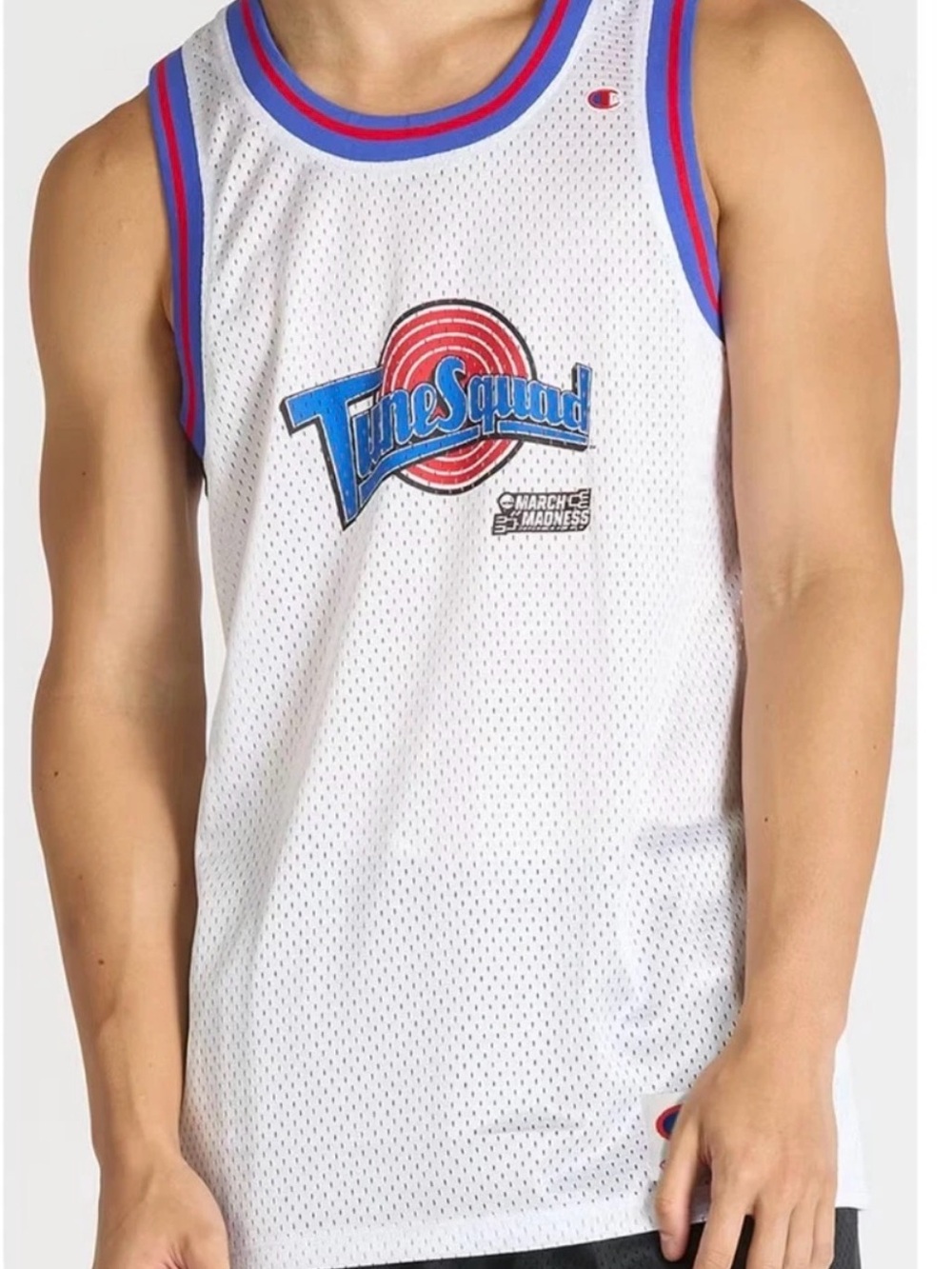 Champion White Tune Squad Mesh Basketball Jersey with Bugs 1 on back